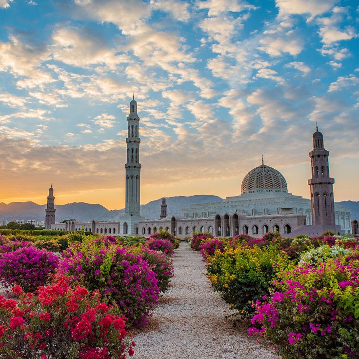 24 hours in muscat pink jinn